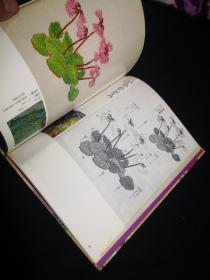 花刺绣第4册 《山の花》