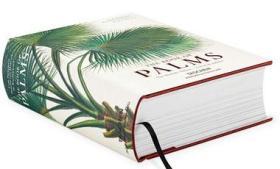 Martius. The Book of Palms 棕榈科热带植物绘画全彩绘2015