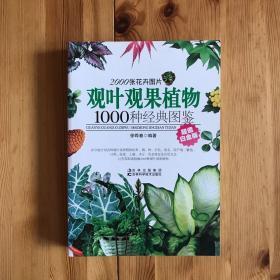 观叶观果植物1000种经典图鉴（超值白金版）