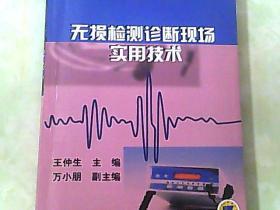 无损检测诊断现场实用技术——设备诊断现场实用技术丛书..