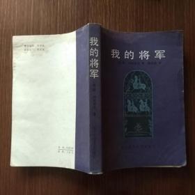 我的将军