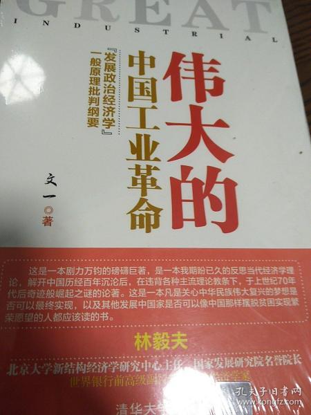 伟大的中国工业革命：“发展政治经济学”一般原理批判纲要