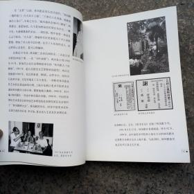 中国名画家全集，林风眠