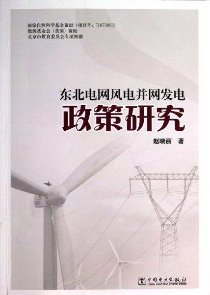 东北电网风电并网发电政策研究