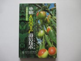 枣树无公害丰产栽培技术