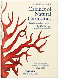 Albertus Seba's Cabinet of Natural Curiosities 奇异自然生物昆虫手绘手稿艺术画册