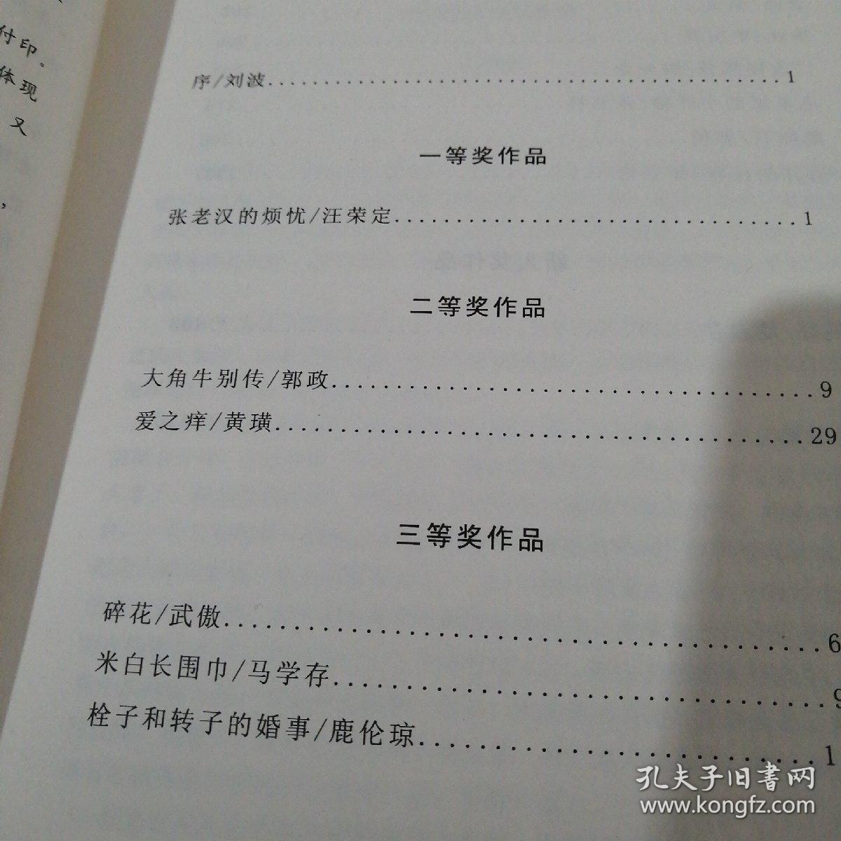 小说获奖作品集【6-----1层】肥西县首届散文小说大奖赛