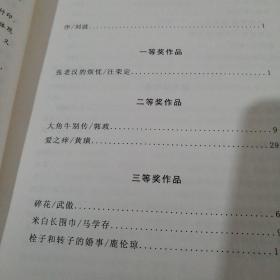 小说获奖作品集【6-----1层】肥西县首届散文小说大奖赛