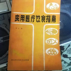 实用医疗饮食指南
梁志编
湖北科学技术出版社