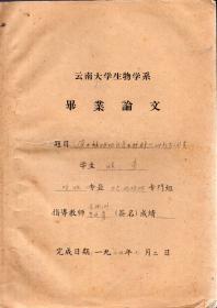 1964年云南大学生物学系毕业论文手稿（16开）：《滇中禄劝地区包石栎群丛的初步调查》【指导教师：金振洲 唐廷贵】