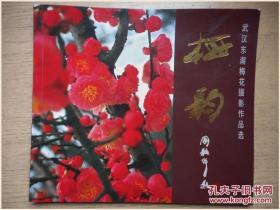 梅韵——武汉东湖梅花摄影作品选 【全彩色图版本】