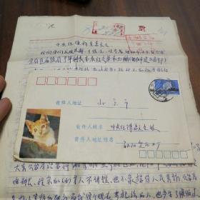 实名举报信 1981年北京中央纪律委员会  揭露沈阳市大东区公安分局包庇亲属一家杀人凶手之事 信上有【重】字