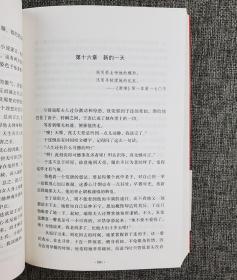 琥珀经典文丛·法国名著”5册合售 荟萃小仲马《茶花女》、莫泊桑中短篇小说集《羊脂球》、雨果《巴黎圣母院》、斯当达《红与黑》、巴尔扎克《欧也妮·葛朗台 高老头》