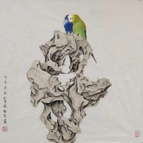 【喻慧】工笔花鸟画《太湖石  鹦鹉》一幅，四尺斗方，68厘米//68厘米，喜欢的私聊