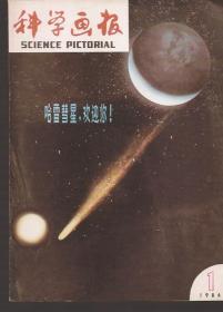 科学画报1986年12册全