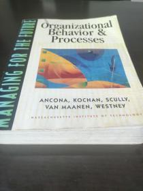 Organizational Behavior & Processes