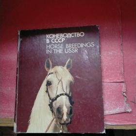 KOHEBOДCTBO B CCCP HORSE BREEDlNGS lN THE USSR