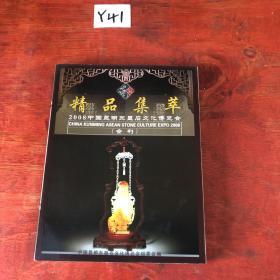 2007中国昆明东盟石文化暨石材博览会（会刊）精品集萃