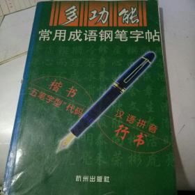 多功能常用成语钢笔字帖