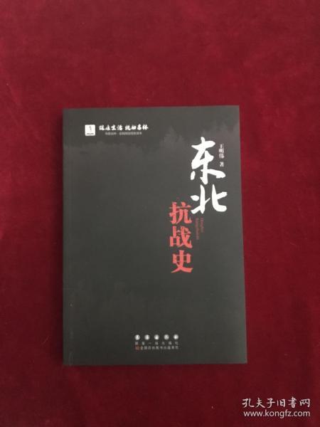 东北抗战史