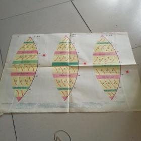 中学地理教学挂图《世界地理一》全14张现有5张