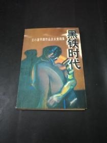 黑铁时代：王小波早期作品及未竟稿集