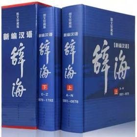 新编汉语辞海 精装大16开全2册 现代汉语词典多功能字典词典词海 结构全笔顺五笔解字 字源 英汉汉语大字典