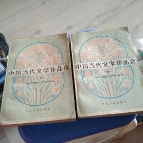 中国当代文学作品选； 上下