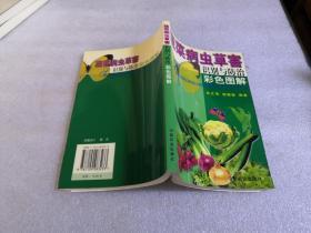 蔬菜病虫草害识别与防治彩色图解