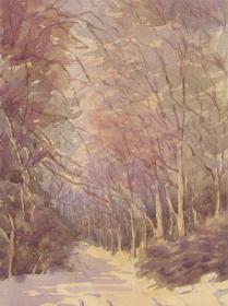 1941 Watercolour - Landscape Study In the Woods