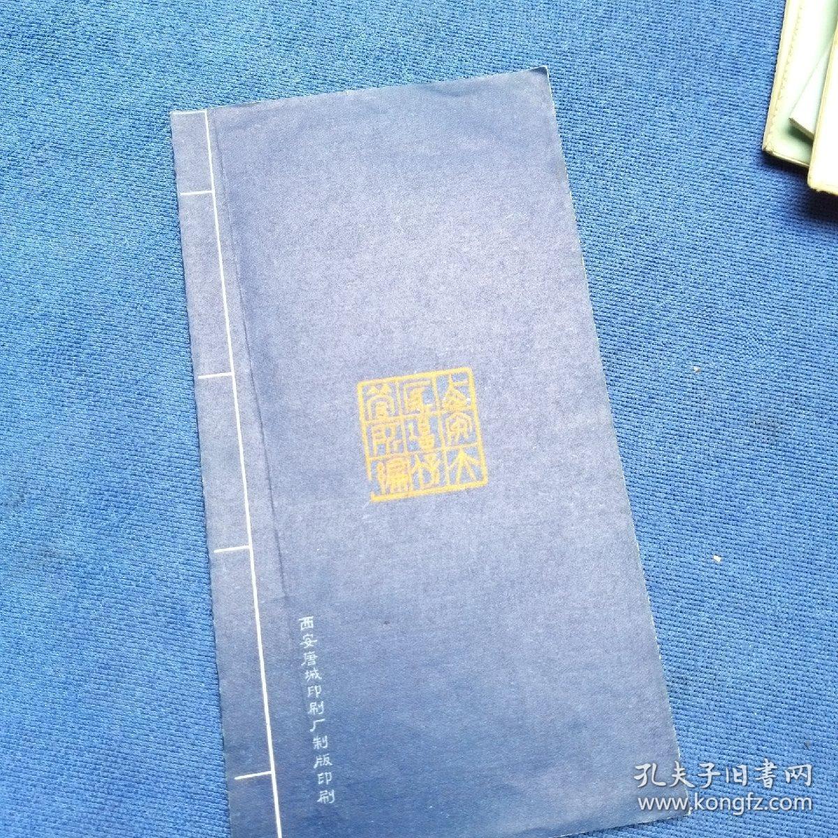 大雁塔导游册