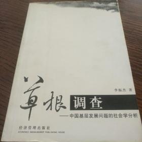 草根调查——中国基层发展问题分析