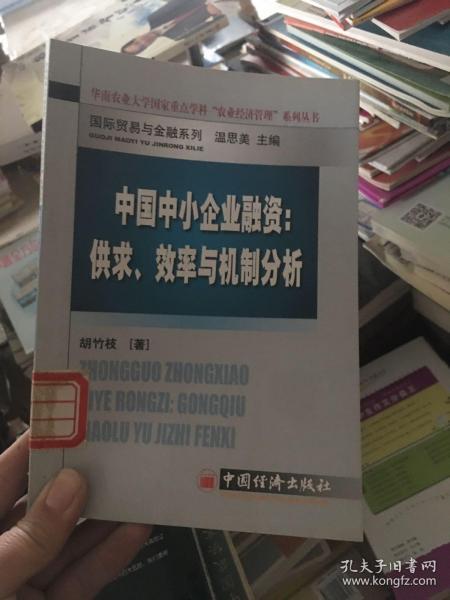 中国中小企业融资：供求、效率与机制分析