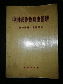 中国农作物病虫图谱 第一分册：水稻病虫a1-3