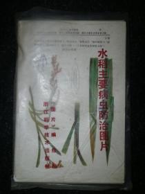 水稻主要病虫防治图片 20张一套全a1-3