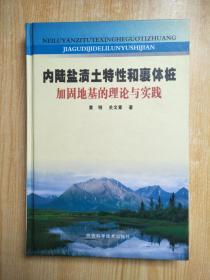 内陆盐渍土特性和裹体桩加固地基的理论与实践
