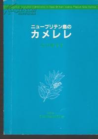 ニコ一ブリテソ島のカメレレ