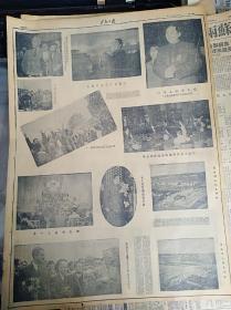 东北日报  1949