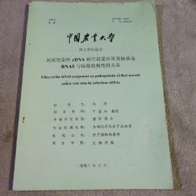 中国农业大学 博士学位论文 利用侵染性CDNA研究甜菜坏死黄脉病毒RNA5与病毒致病性的关系