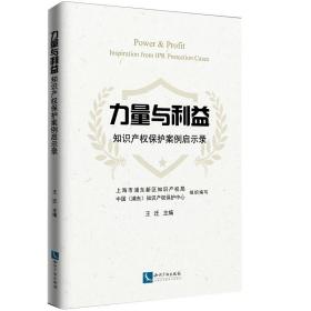 力量与利益 知识产权保护案例启示录（