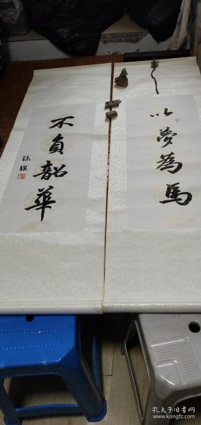 孙骊书法精品对联一幅：以梦为马 不负韶华【2X（33X85）CM】保真