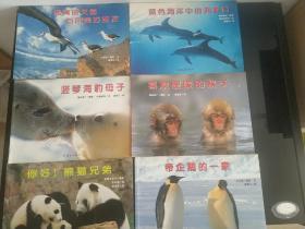 蒲蒲兰绘本馆·亲子摄影绘本（全六册）
《你好！熊猫兄弟》《帝企鹅的一家》《喜欢暖暖的猴子》《竖琴海的母子》《蓝色海洋中的海豚们》《黑贝信天翁与风是好朋友》