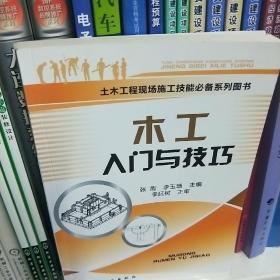 土木工程现场施工技能必备系列图书：木工入门与技巧