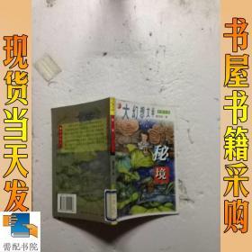 秘境：大幻想文学・中国小说