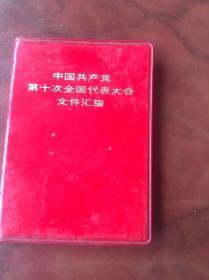 中国共产党第十次全国代表大会文件汇编