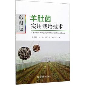 羊肚菌菌种制作图书 羊肚菌种植技术书籍 彩图版羊肚菌实用栽培技术