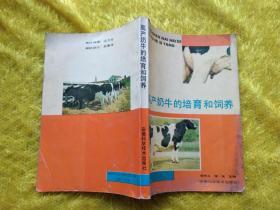 高产奶牛的培育和饲养