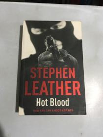 stephen leather hot blood