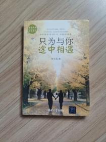 《只為與你途中相遇》