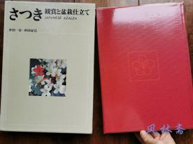 さつき 观赏与盆栽制作 日本盆景重要门类 皐月（皋月杜鹃花）之选种 培育